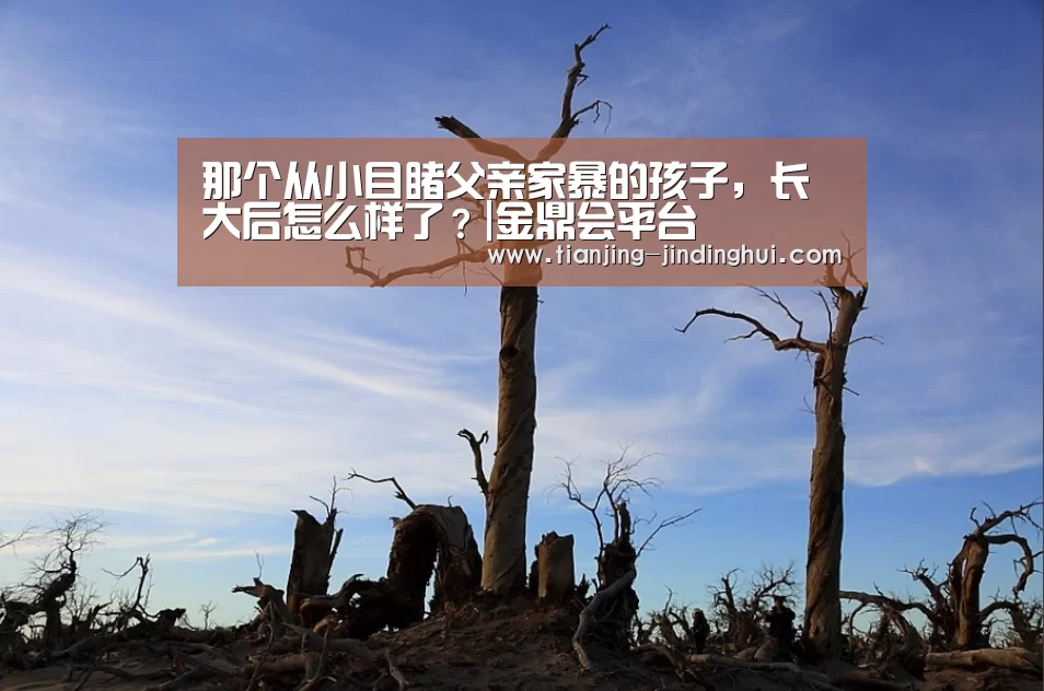 那个从小目睹父亲家暴的孩子，长大后怎么样了？|金鼎会平台