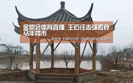 金鼎会体育直播_王石任志强看衰马年楼市